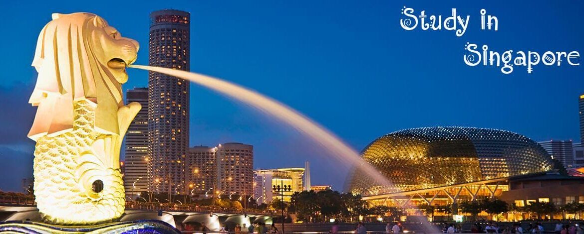 Tại sao nên chọn dịch vụ du học singapore tại Tổ chức giáo dục Netviet