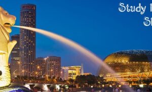 Tại sao nên chọn dịch vụ du học singapore tại Tổ chức giáo dục Netviet