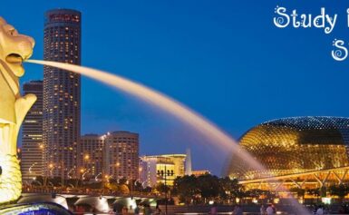 Tại sao nên chọn dịch vụ du học singapore tại Tổ chức giáo dục Netviet