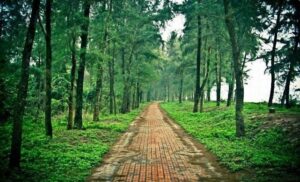 Cập Nhật Hướng Dẫn Đặt Tour Du Lịch Cô Tô 2 Ngày 1 Đêm
