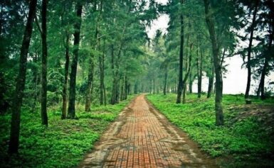 Cập Nhật Hướng Dẫn Đặt Tour Du Lịch Cô Tô 2 Ngày 1 Đêm
