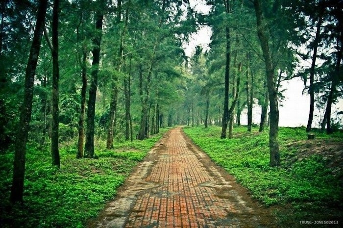 Cập Nhật Hướng Dẫn Đặt Tour Du Lịch Cô Tô 2 Ngày 1 Đêm