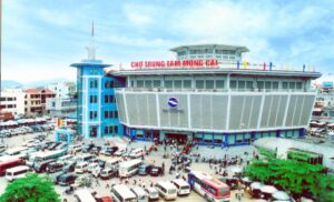Khám Phá Những Địa Điểm Tham Quan Không Nên Bỏ Qua Tại Trà Cổ