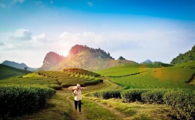 Thông Tin Chi Tiết Về Giá Vé Tham Quan Các Điểm Đến Nổi Bật Tại Mộc Châu 