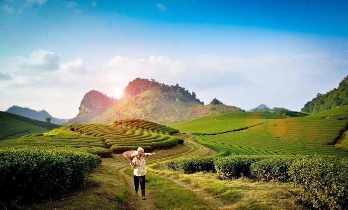 Thông Tin Chi Tiết Về Giá Vé Tham Quan Các Điểm Đến Nổi Bật Tại Mộc Châu 
