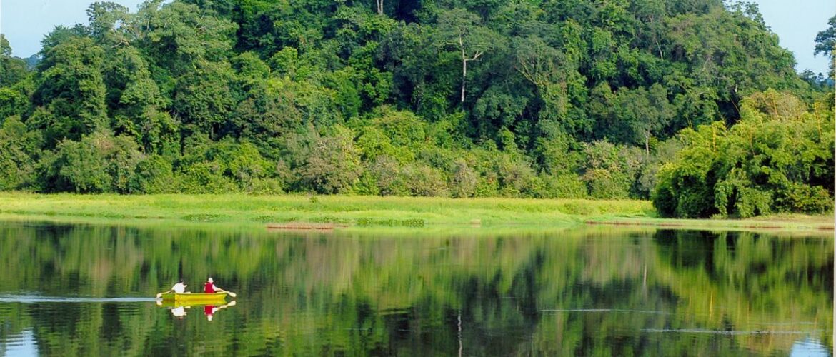 Kinh Nghiệm Khi Khám Phá Nam Cát Tiên 2 Ngày 1 Đêm