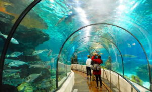 Cách Di Chuyển Đến Suối Tiên 1 Ngày Thuận Tiện Nhất