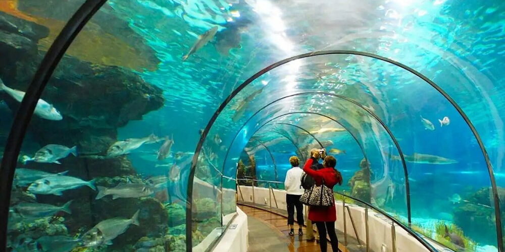 Chi Tiết Các Dịch Vụ Trong Giá Tour Suối Tiên 1 Ngày