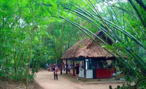 Lộ Trình Di Chuyển Đến Củ Chi 1 Ngày Dễ Dàng 