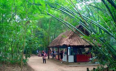 Lộ Trình Di Chuyển Đến Củ Chi 1 Ngày Dễ Dàng 