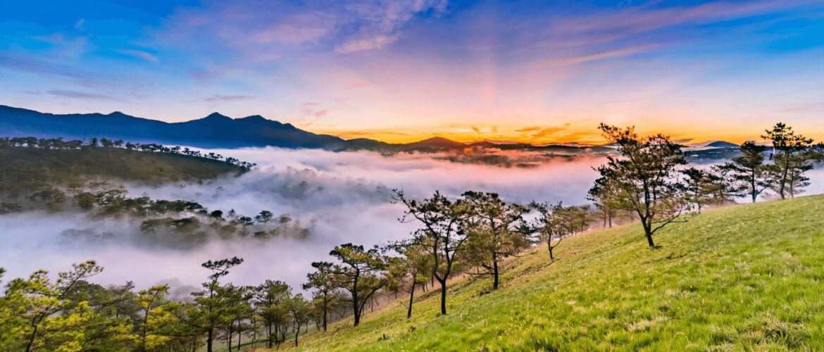Địa Điểm Lưu Trú Phù Hợp Khi Đi Đà Lạt 2 Ngày 1 Đêm