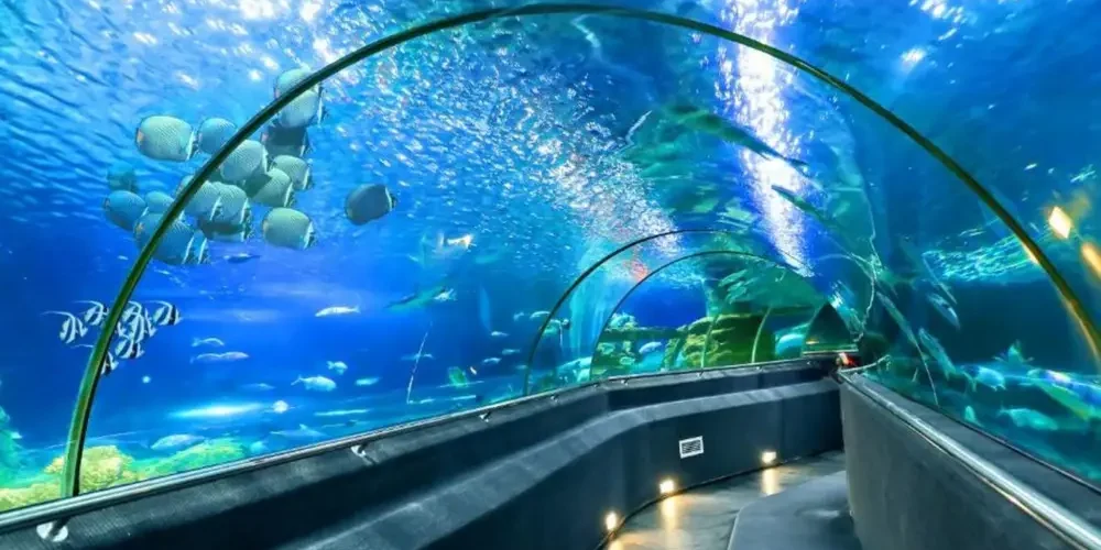 Kinh Nghiệm Cần Biết Khi Du Lịch Nha Trang 3 Ngày 2 Đêm