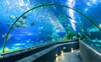 Kinh Nghiệm Cần Biết Khi Du Lịch Nha Trang 3 Ngày 2 Đêm