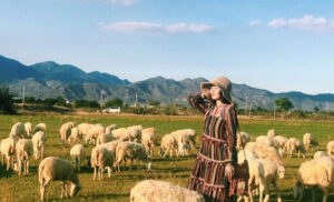 Thông Tin Giá Tour Ninh Chữ 3 Ngày 2 Đêm Và Các Dịch Vụ Bao Gồm