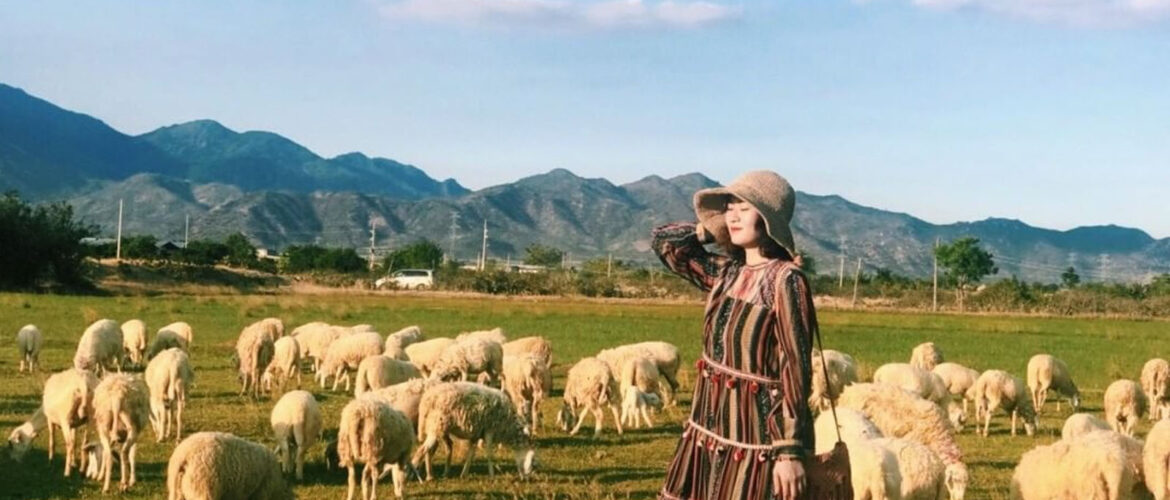 Thời Khắc Nào Là Tuyệt Nhất Để Khởi Hành Đến Phan Rang 3 Ngày 2 Đêm?